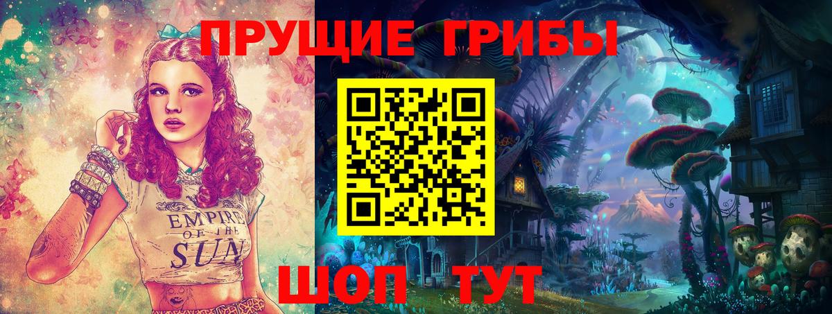 Гагарин  Галлюциногенные грибы мицелий  что такое наркотик  Галлюциногенные грибы прущие грибы  Вход с VPN 